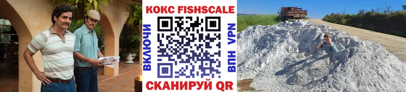 закладка  Дмитровск  hydra ссылка  Cocaine FishScale 