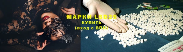 прущие грибы Алексеевка