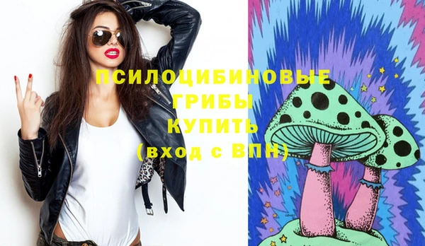прущие грибы Алексеевка