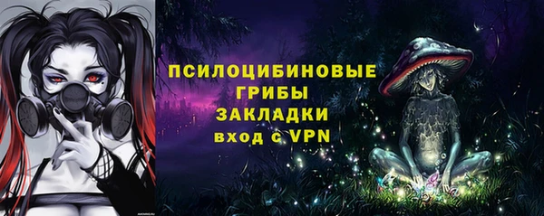 прущие грибы Алексеевка